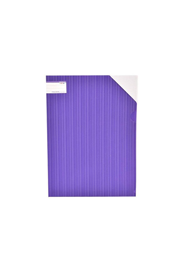 Multi-colored plastic file folder - 3