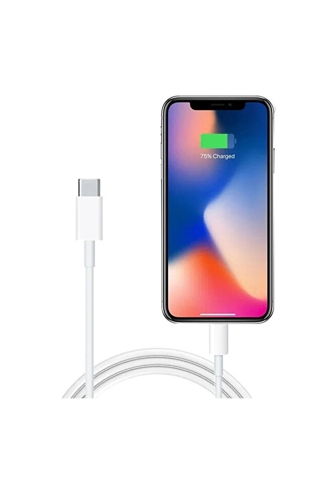 Fast Charge Lightning - Type-C Cable, White, 1m, iPhone compatible - 2