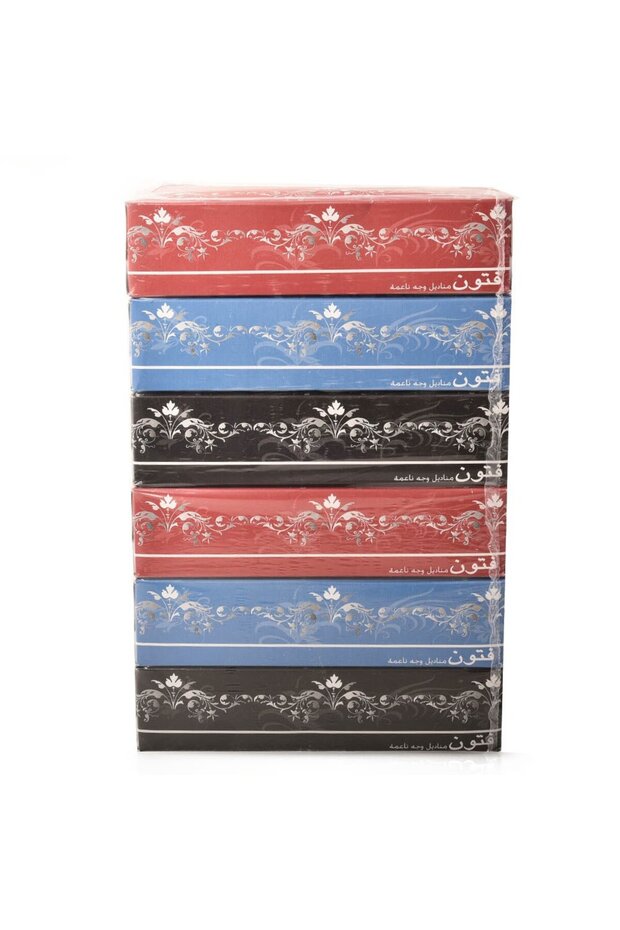 Fatton White Tissues 6 Packs - 1