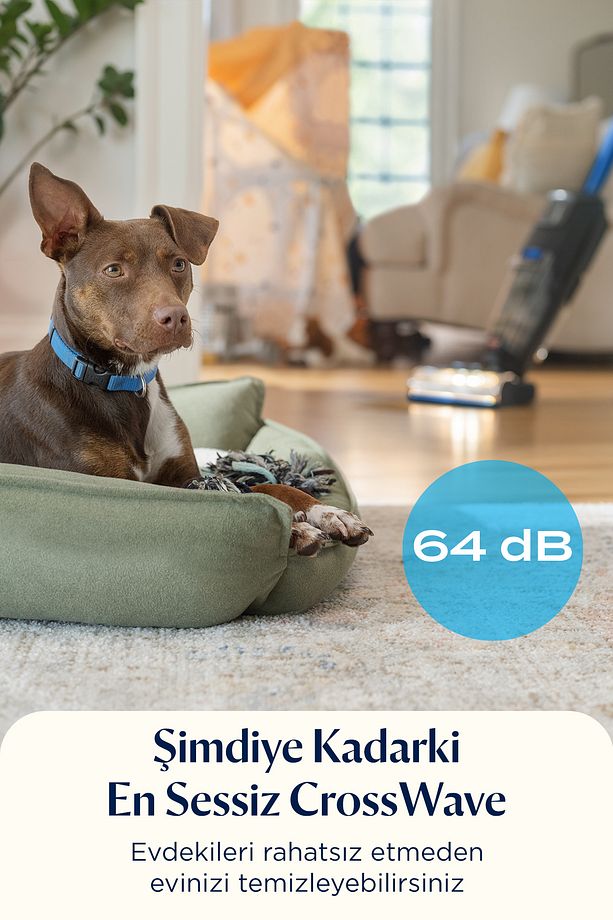 CrossWave OmniFind Islak&Kuru Süpürme ve Silme Makinesi - 11