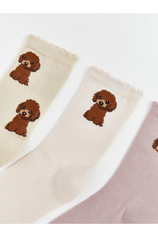 Crps,t-3 Poddle (S5) - 3