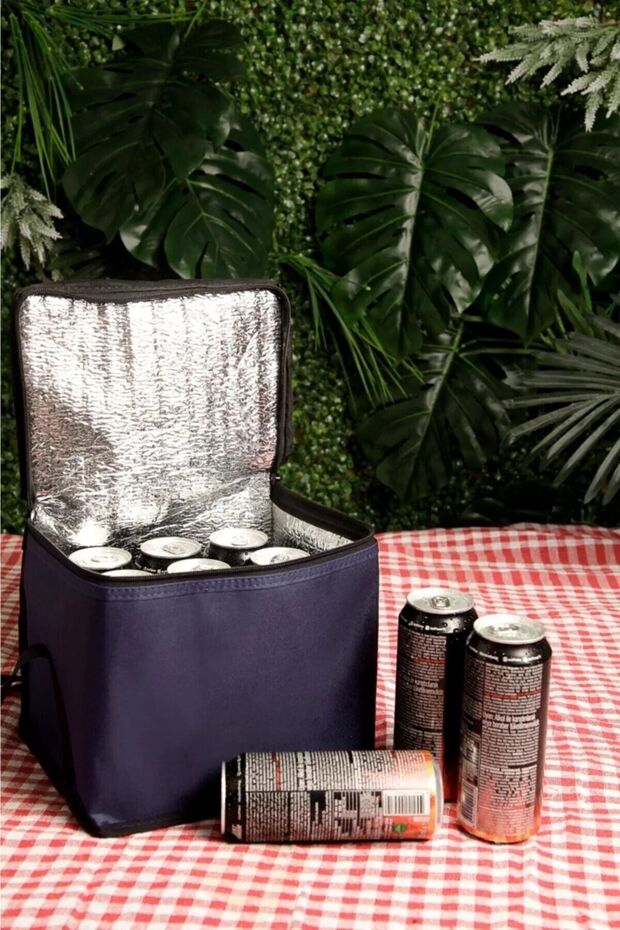 Picnic Bag with Cooler Mini Portable Thermos Bag with Cooler Thermal Thermos