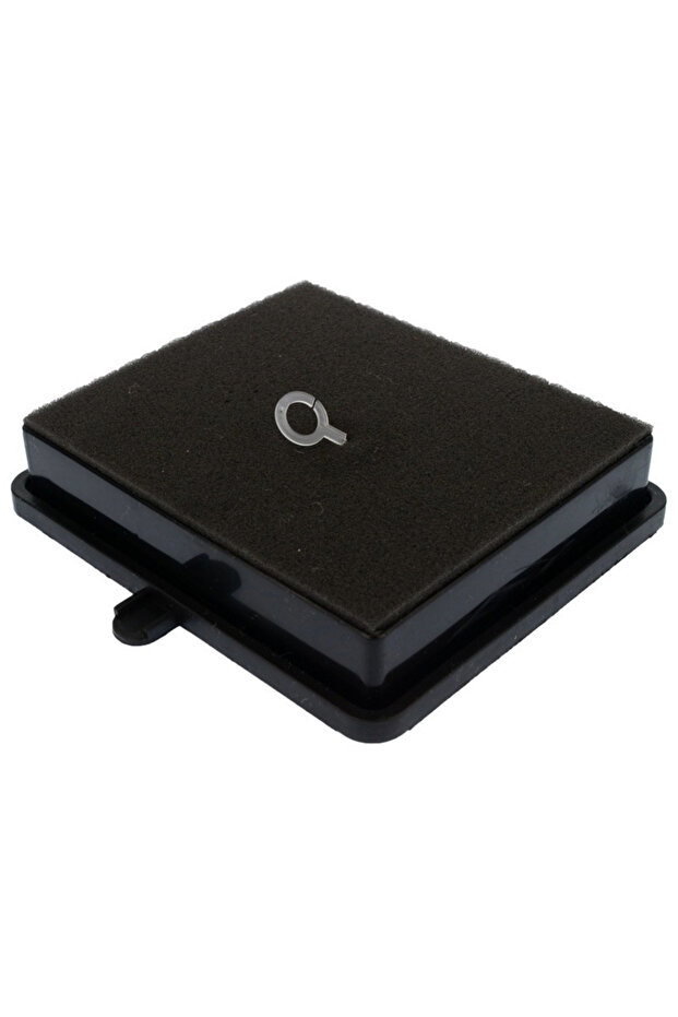 فلتر الغرفة الأمامية RH 900 G المتوافق مع Regal - 2