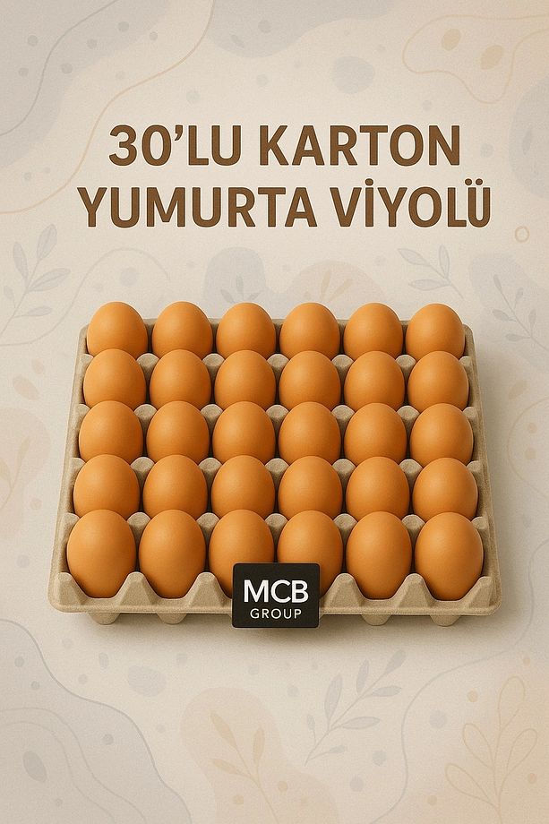 25 ADET 30'lu Karton Yumurta Viyolü (25 ADET) Toptan Viyol - 3