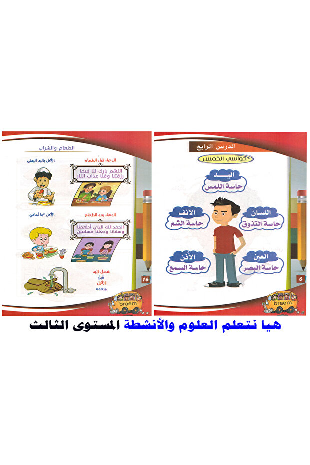 Let's Learn Science and Activities - Level 3 - 3