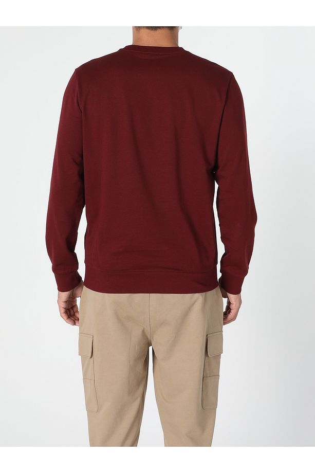 Regular Fit Erkek Kahverengi Sweatshirt - 2