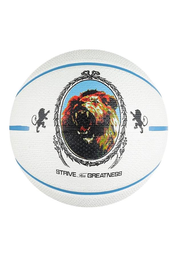 N.100.4372.086.07 Playground 2.0 8p L James Deflated Unisex Basketbol Topu - 1