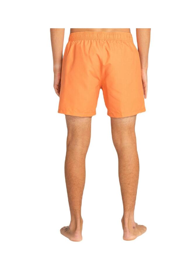 Billabong EBYJV00134 All Day Lb Erkek Şort Mayo - 5