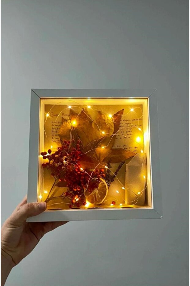 ANI ÇERÇEVESİ - 4