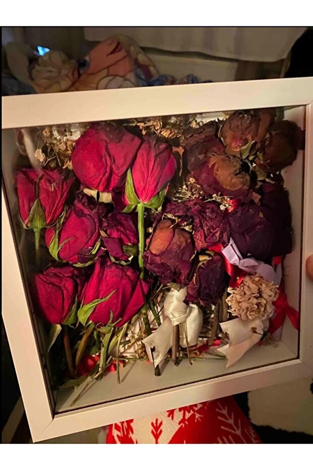 ANI ÇERÇEVESİ - 3