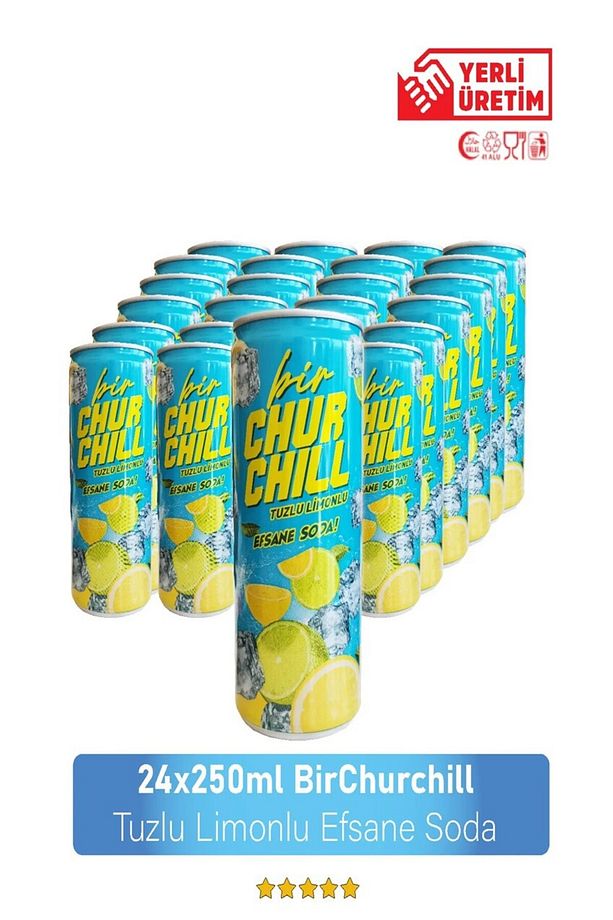 Bir Churchill 1 Adet 250 ml ( 24 Adet) - 1