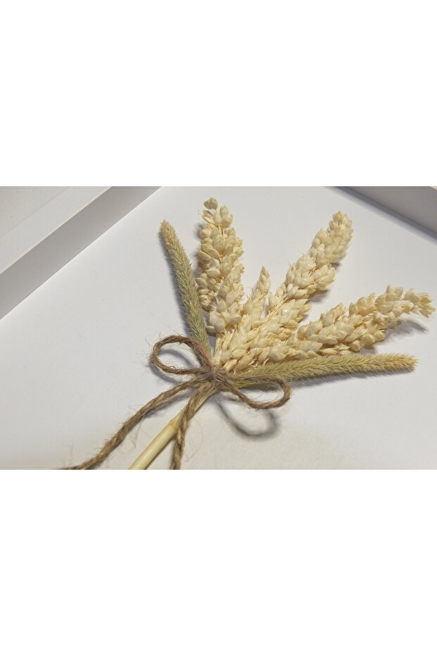 Kuru Çiçek Tablo - 2