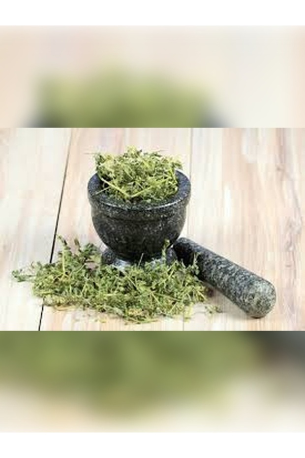 ÇOBAN ÇÖKERTEN OTU TAZE YENİ MAHSÜL - 2
