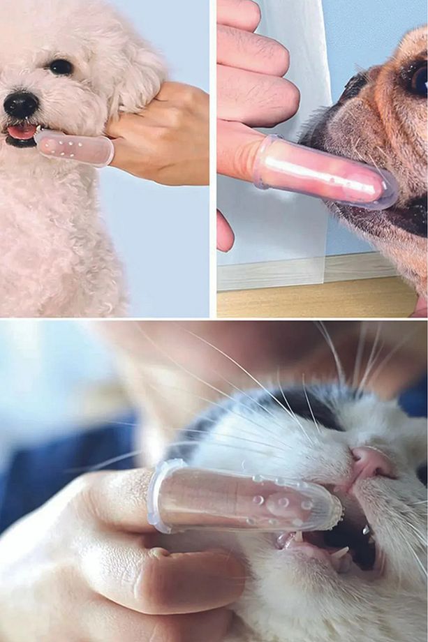 Kedi ve Köpek İçin Silikon Parmak Diş Kaşıyıcı Dil Temizleyici Diş Fırçası - 3