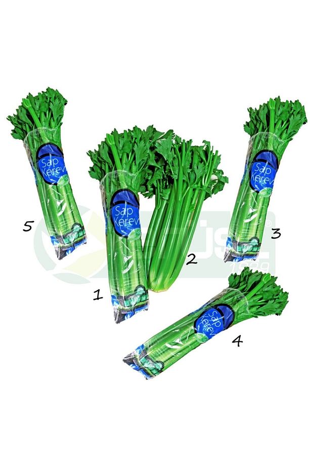 Sap Kereviz - Celery - 5 Adet - Her Adette En Az 2-3 Dal Vardır. - 1