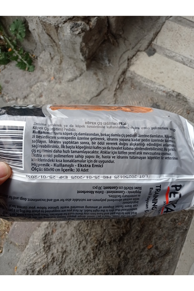 Evcil Hayvan çiş pedi - 2
