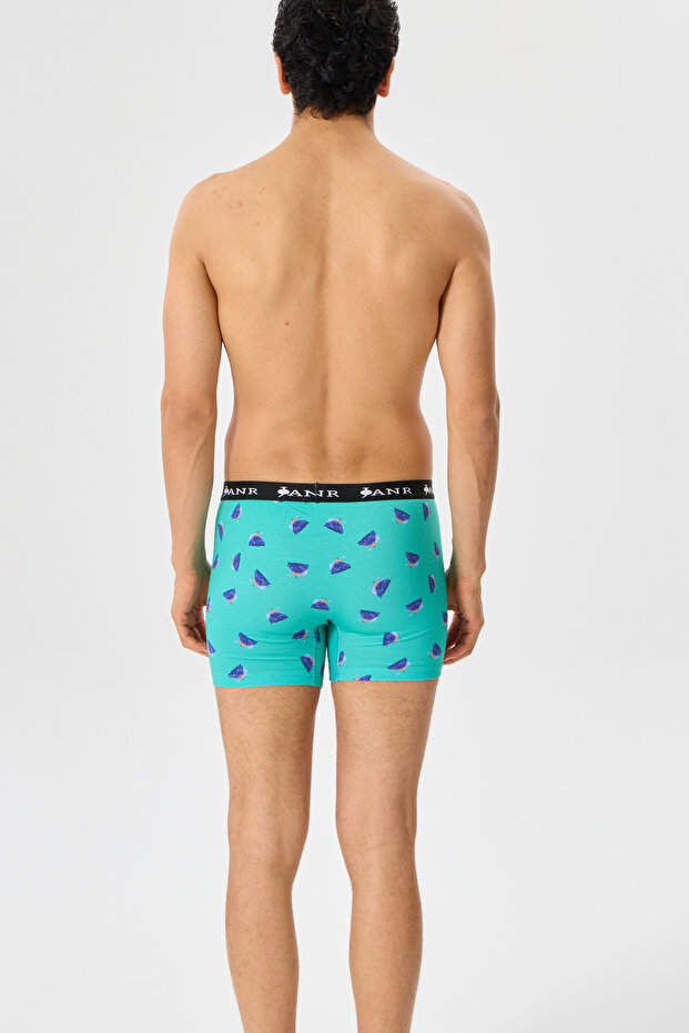 Passionate Explorations Erkek Boxer - 5