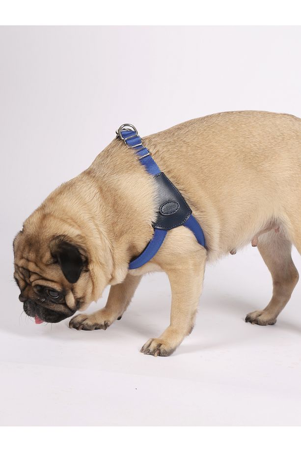 Lino Yumuşak Dokulu Ayarlanabilir Köpek Göğüs Tasması - 6
