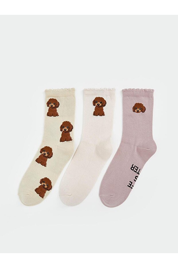 Crps,t-3 Poddle (S5) - 1