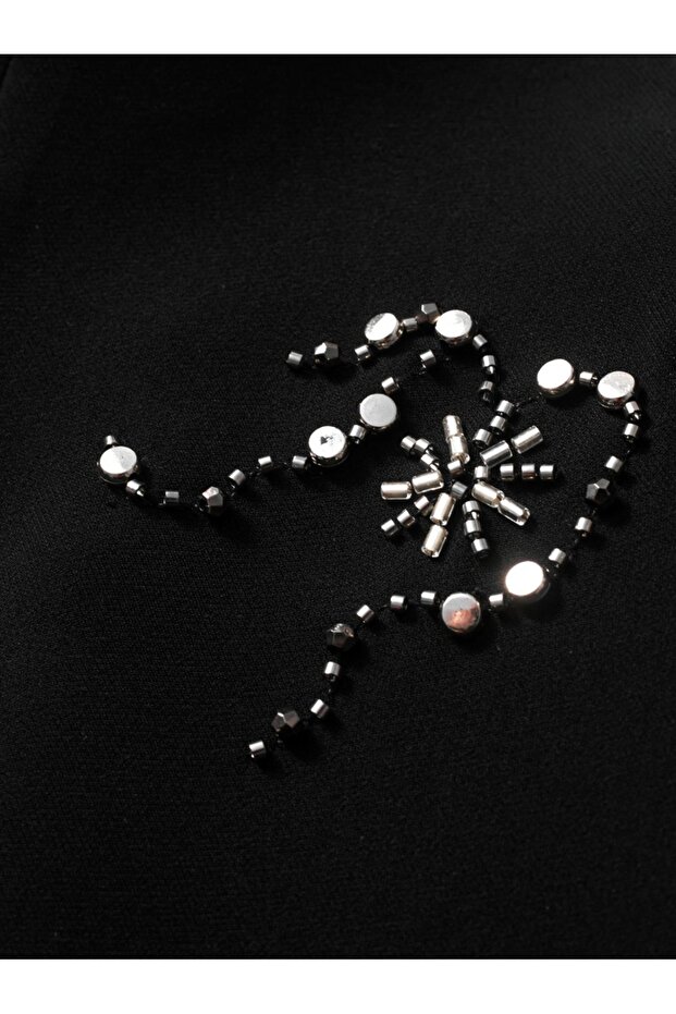 Sequin embellishments Jacket - 2