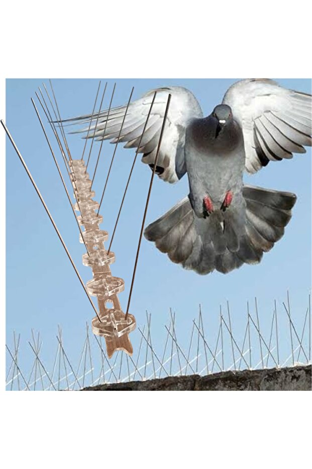 şeffaf kuş bariyeri - 1