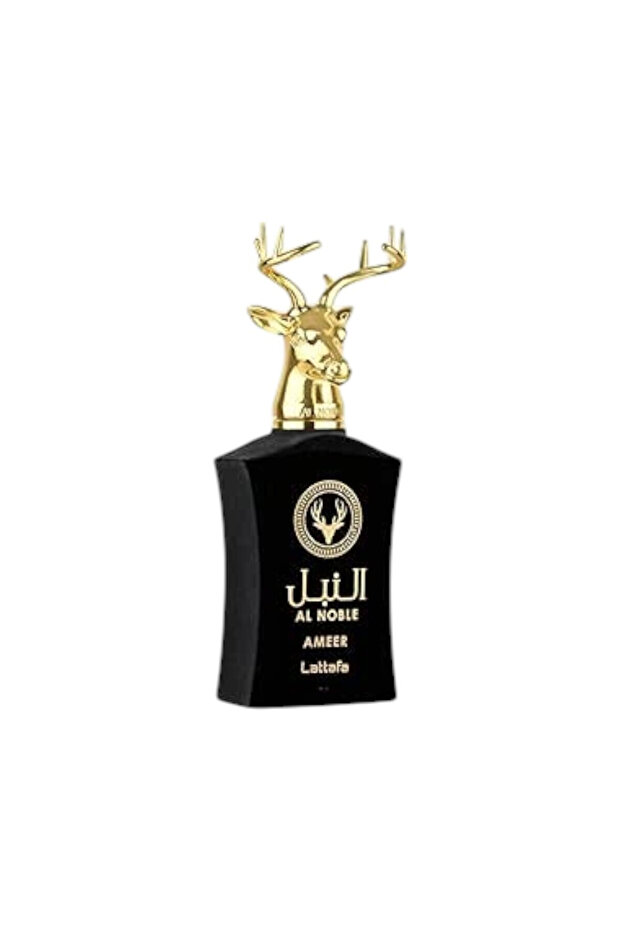 Noble Amir Perfume 100ml Eau de Parfum Spray
