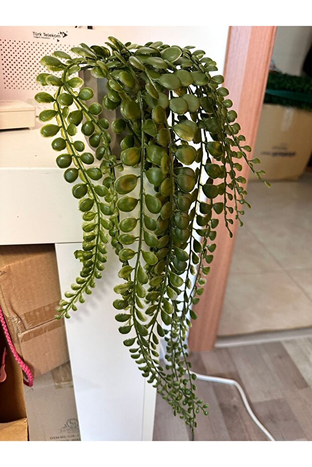 اللبلاب الاصطناعي - 3