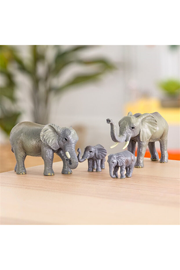 Afrika Fil Ailesi - 2