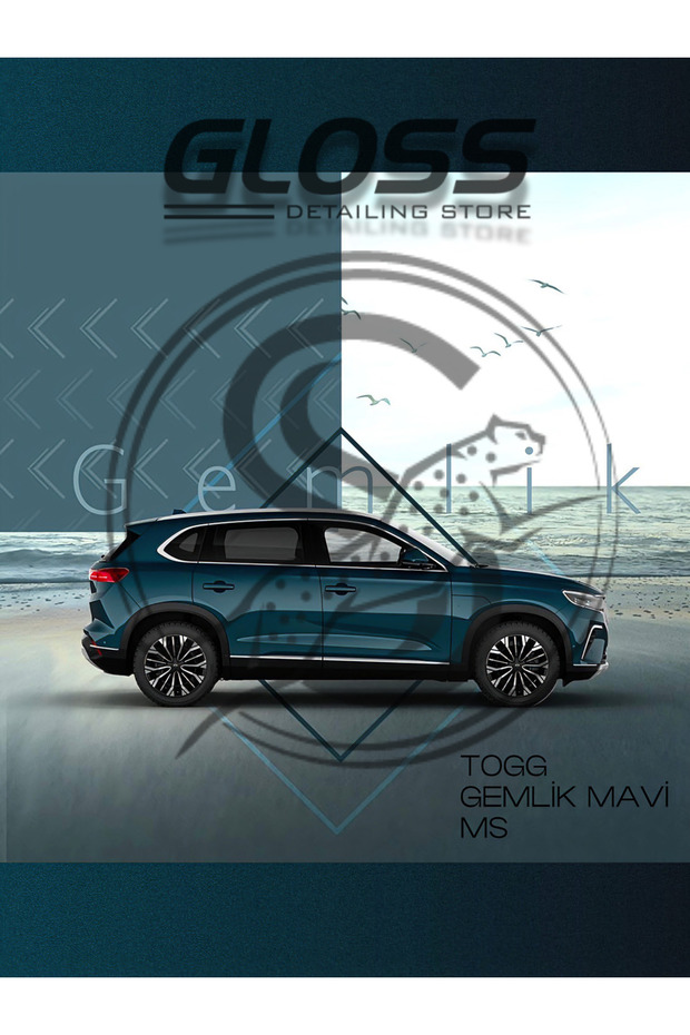 TOGG T10X Gemlik Mavisi MS - Profesyonel Çizik Ve Taş izi Giderici Rötuş Boyası 30ml. - 1