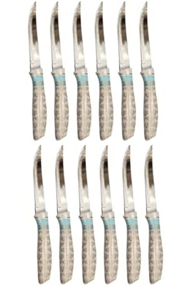 Stainless Steel Fruit Knife, Decorative Handle Design, 12-piece Set,bb3771