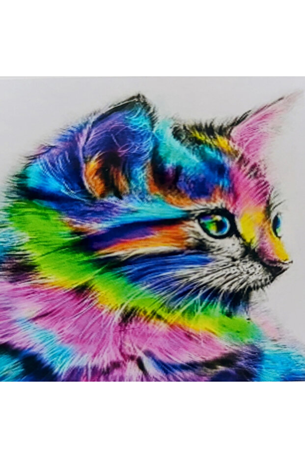 Diamond Painting Beaded Tapestry Colorful Cat Mosaic Puzzle Crystal Stone Board 40X30 Kit Full Set