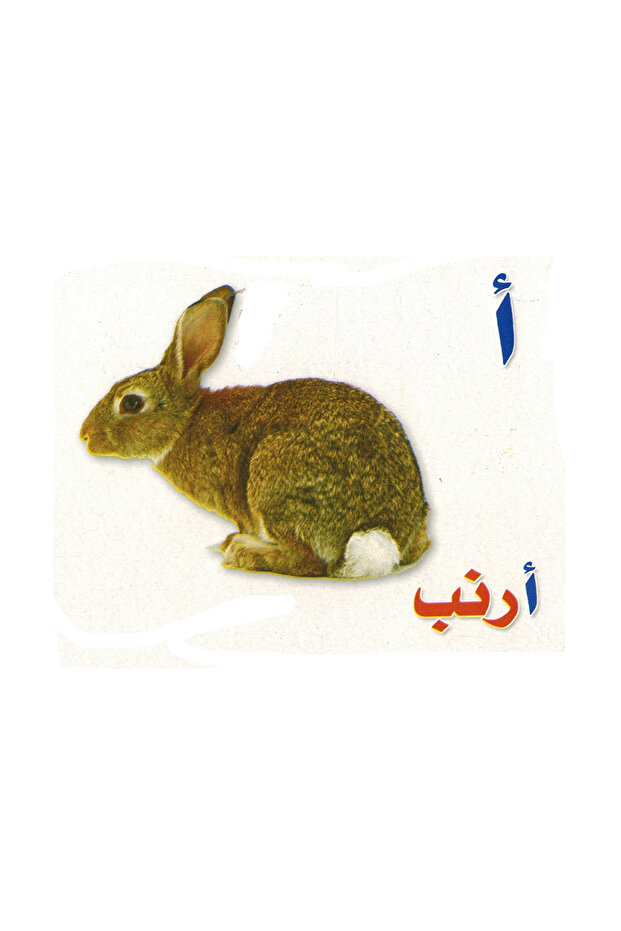 الكروت التعليمية الحروف العربية