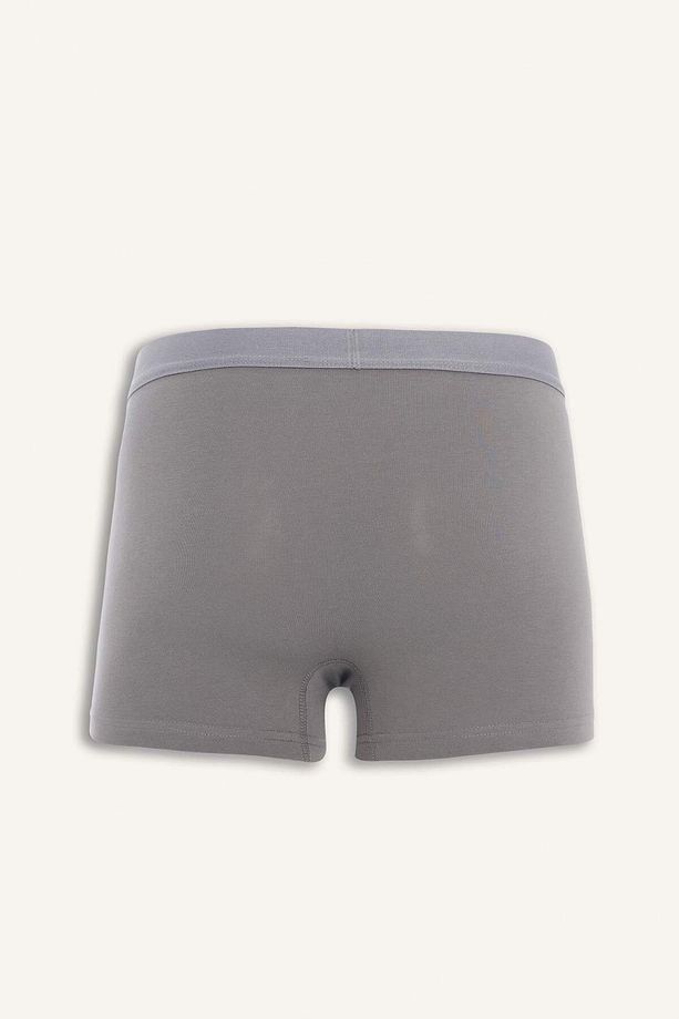 Regular Fit 3'lü Boxer E7207ax25sm - 3