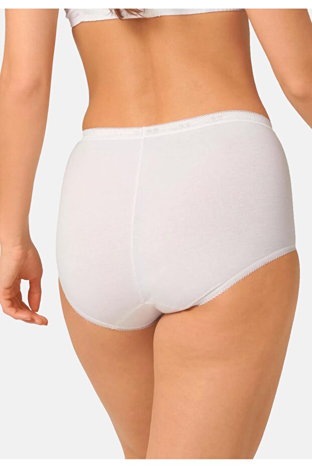 Unterhose Slip Basic+ Maxi mit hohem Bund 4er Pack - 2