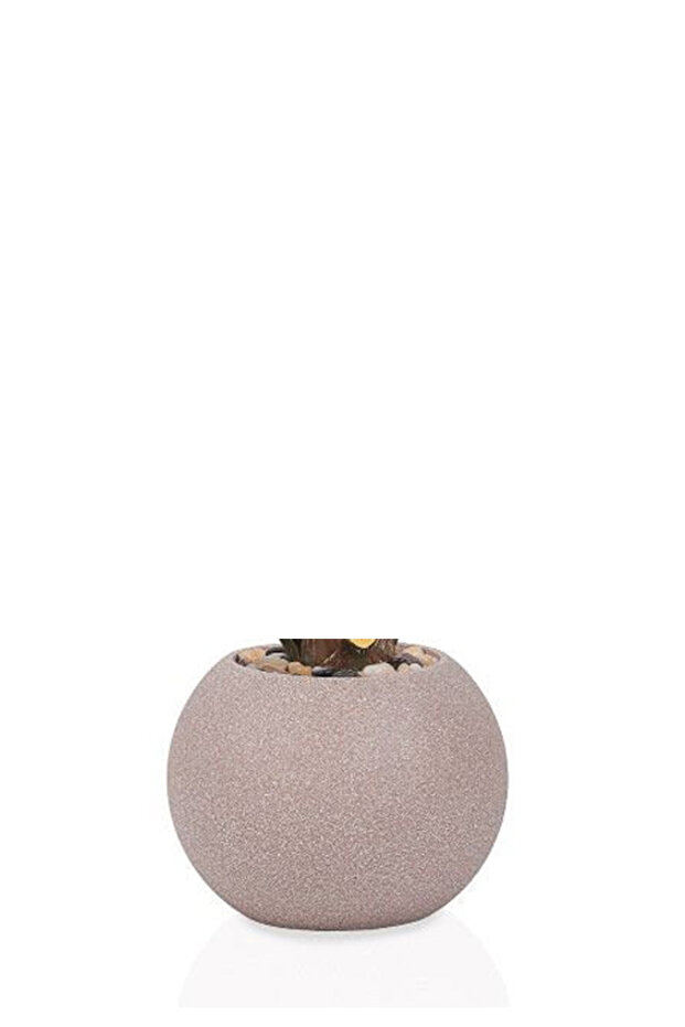 شجر أريكا (7 فروع) بمركن بلاستيك دائرى - 3