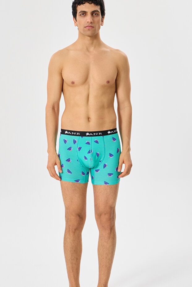 Passionate Explorations Erkek Boxer - 4