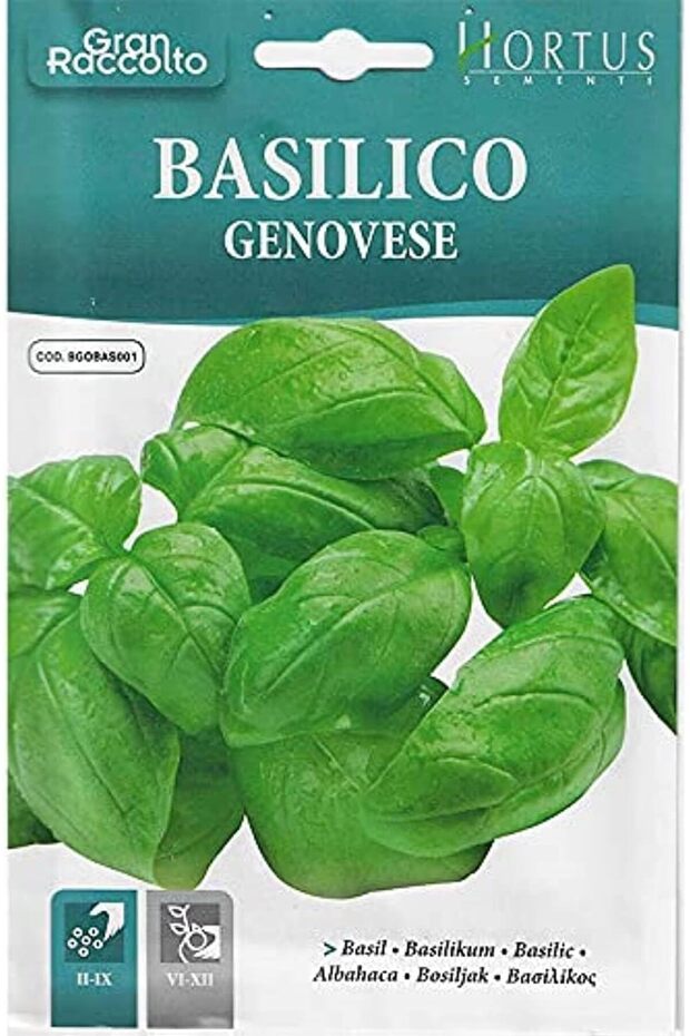 Basil seeds \ Vegetable seeds
