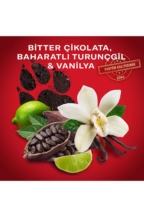Night Panther Erkek Sprey Vücut Deodorantı 150 ml - 5