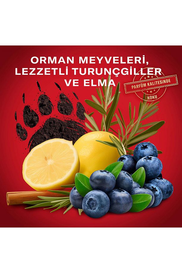 Bearglove Erkek Duş Jeli ve Şampuan 1000 ml XXL Büyük Boy - 5
