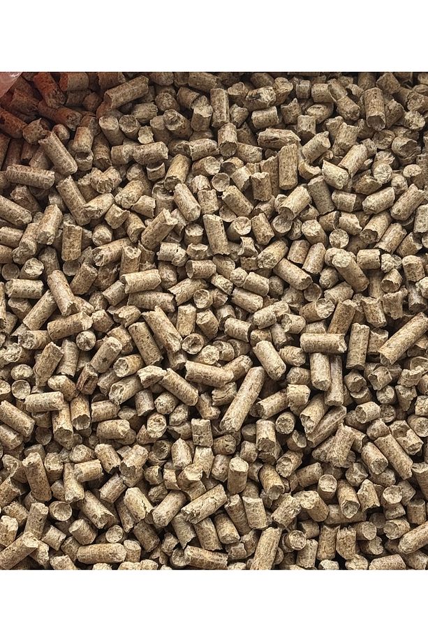 Çam Pelet %100 Doğal Çam Peleti Kedi Kumu 20 LT (Net 10 kg) - 2