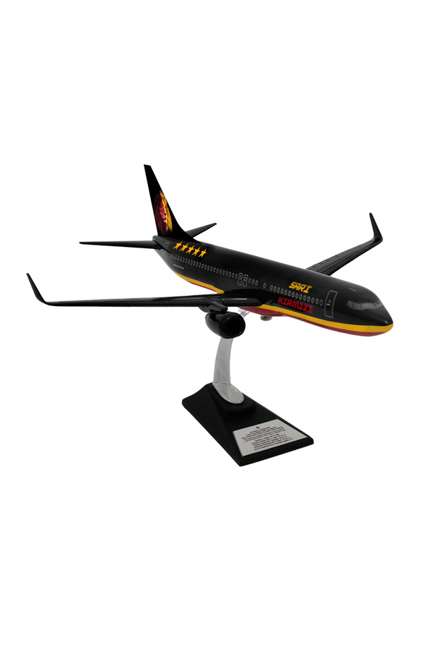 Boeing 737-800 1/100 Ölçek Klasik Aslan Tasarımlı Siyah Maket Uçak (UCK0211) - 3