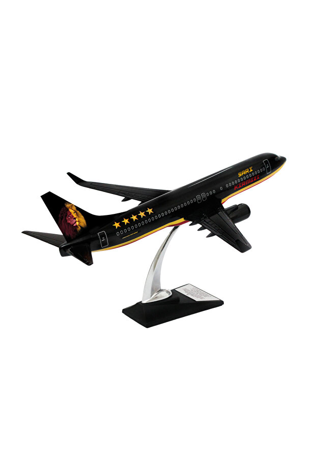 Boeing 737-800 1/100 Ölçek Klasik Aslan Tasarımlı Siyah Maket Uçak (UCK0211) - 1