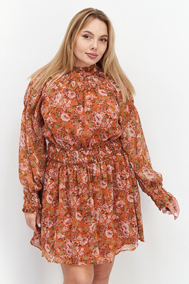 Women Floral Print Mini Dress, Multicolor