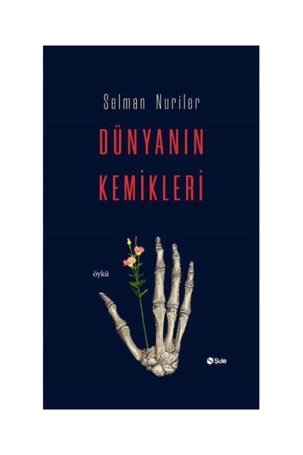 Novel