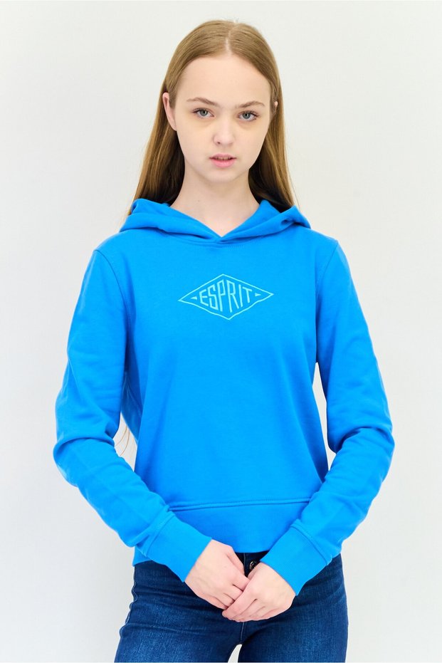 Women Long Sleeves Embroidered Logo Hooded Sweatshirts, Teal Blue