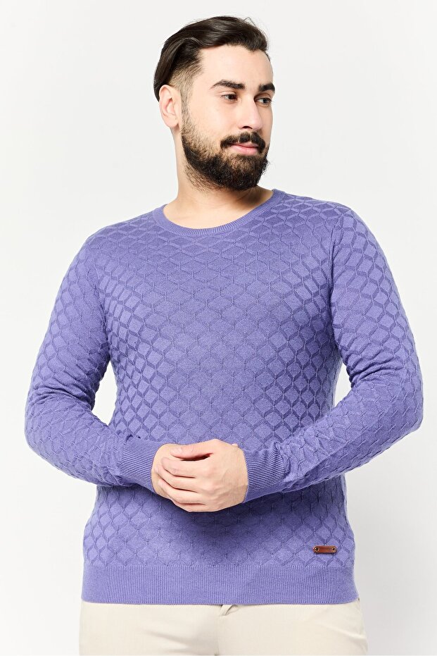 Harmont Blaine Jeans Men Crew Neck Textured Sweater, Purple