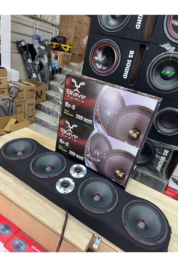 4 ADET 20 CM MIDRANGE 2 ADET 10 CM TWETTER UNİVERSAL PANDİZOT - 1