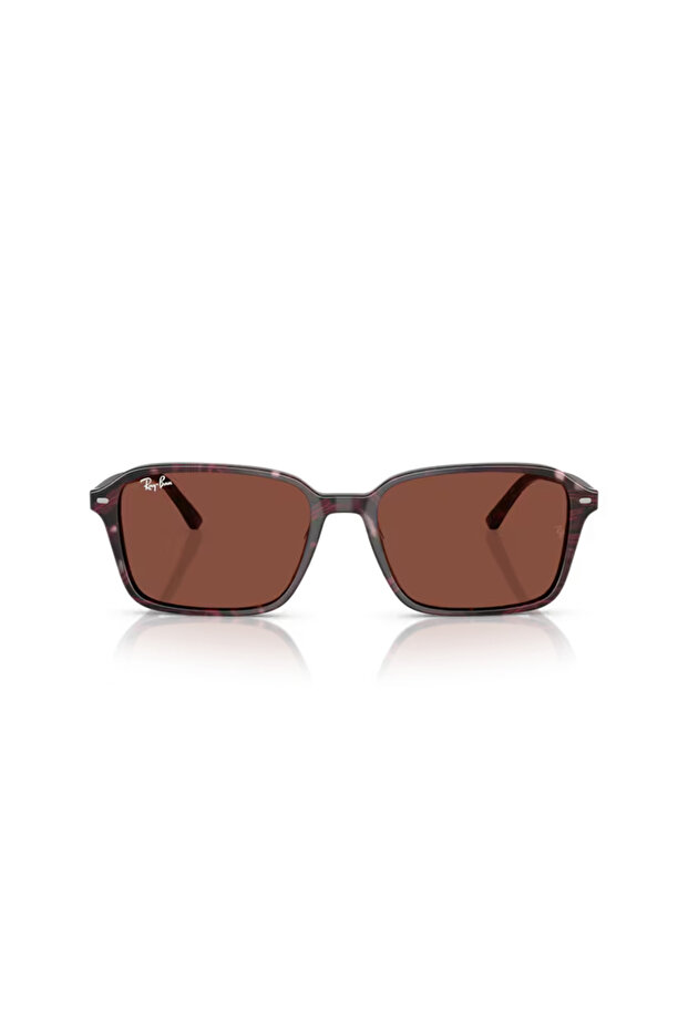 0Rb2231 1416C5 58 Sunglasses