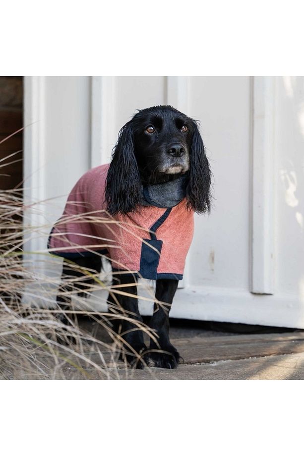 Köpek Bornozu Limited Edition Dusk/Ocean - 3