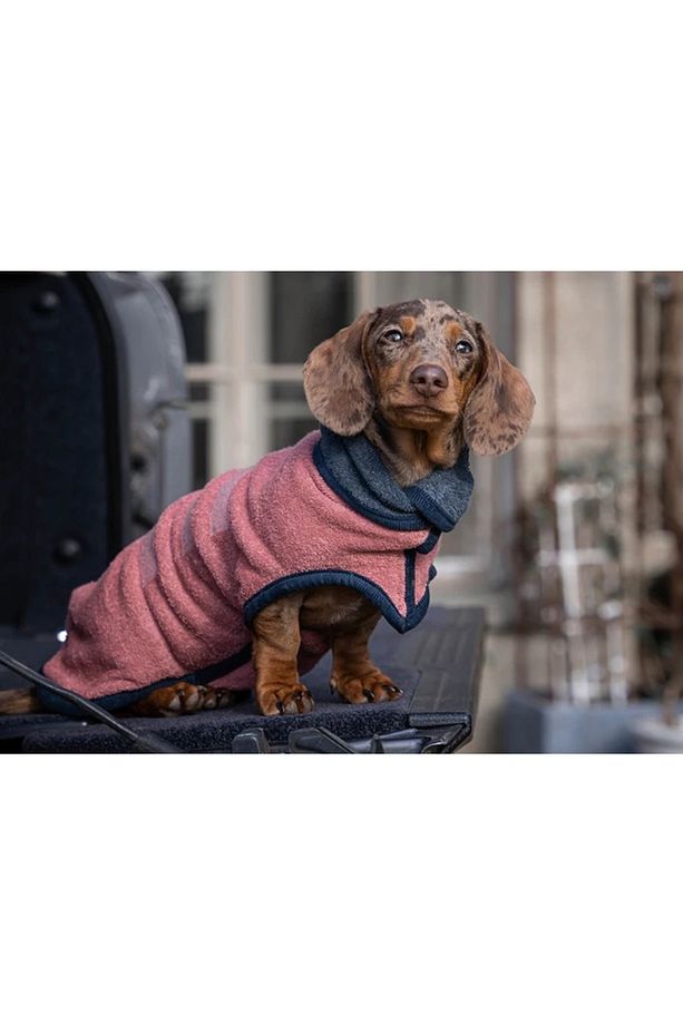 Köpek Bornozu Limited Edition Dusk/Ocean - 2
